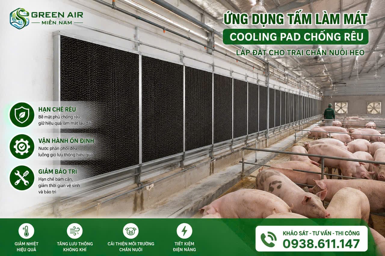 TẤM LÀM MÁT COOLING PAD 7090 CHỐNG RÊU 1500 × 600 × 150 mm