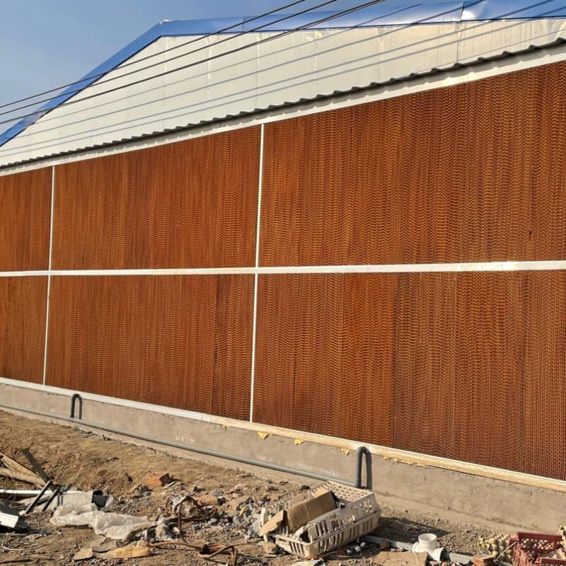 Hệ Thống Làm Mát Nhà Xưởng Tiết Kiệm Điện | Green Air Miền Nam